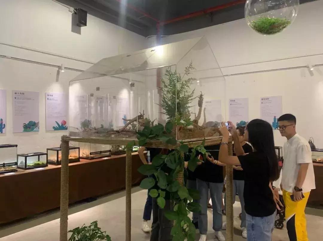 爆火广州溜娃圈的网红双展，宠粉价¥39.9买一送一！劲省二百多元