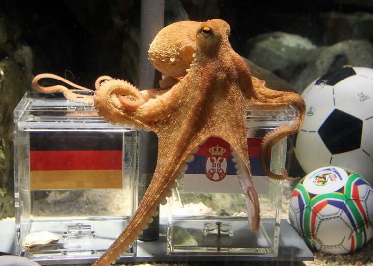 <html>
<head><title>502BadGateway</title></head>
<body>
<center><h1>502BadGateway</h1></center>
<hr><center>nginx</center>
</body>
</html>
<!--apaddingtodisableMSIEandChromefriendlyerrorpage-->
<!--apaddingtodisableMSIEandChromefriendlyerrorpage-->
<!--apaddingtodisableMSIEandChromefriendlyerrorpage-->
<!--apaddingtodisableMSIEandChromefriendlyerrorpage-->
<!--apaddingtodisableMSIEandChromefriendlyerrorpage-->
<!--apaddingtodisableMSIEandChromefriendlyerrorpage-->
