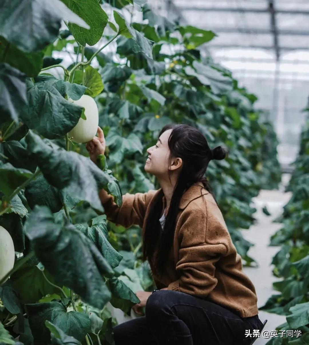 南昌生态谷智慧农场采摘,南昌亲子采摘踏青