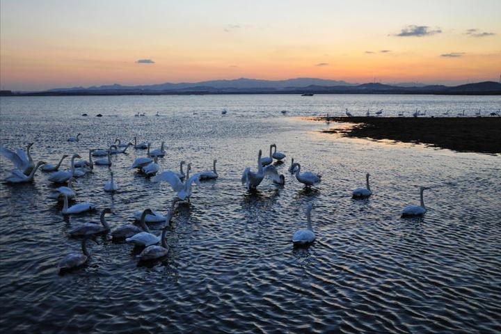 山东省峡山水库风景区,山东十大旅游度假区