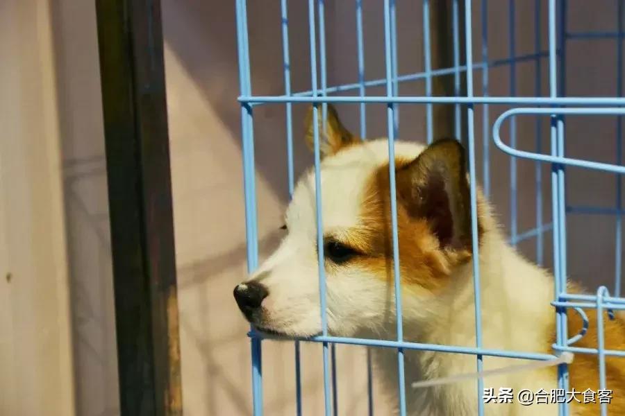 <html>
<head><title>502BadGateway</title></head>
<body>
<center><h1>502BadGateway</h1></center>
<hr><center>nginx</center>
</body>
</html>
<!--apaddingtodisableMSIEandChromefriendlyerrorpage-->
<!--apaddingtodisableMSIEandChromefriendlyerrorpage-->
<!--apaddingtodisableMSIEandChromefriendlyerrorpage-->
<!--apaddingtodisableMSIEandChromefriendlyerrorpage-->
<!--apaddingtodisableMSIEandChromefriendlyerrorpage-->
<!--apaddingtodisableMSIEandChromefriendlyerrorpage-->
