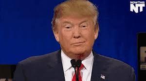 美国新冠疫情为何如此严重,美国特朗普最新疫情数据