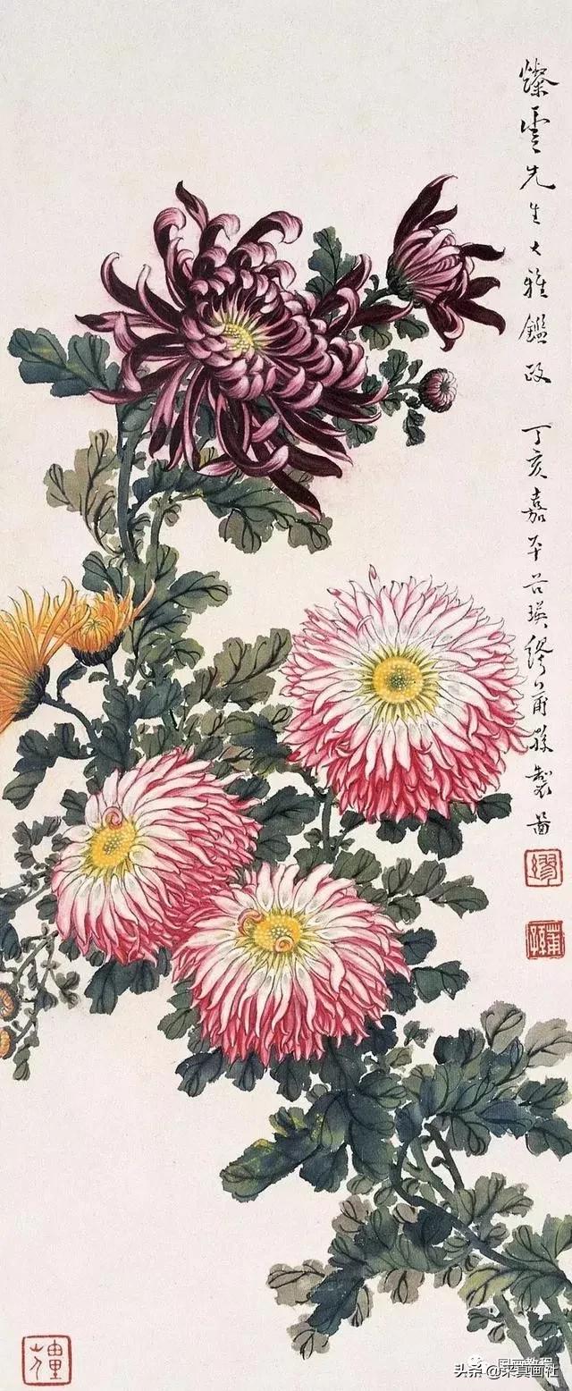 国画菊花技法绘画教程,国画菊花的基本画法