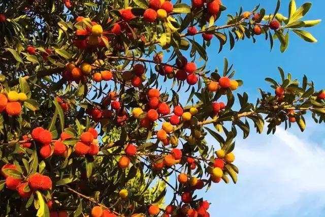 邂逅秋天的千岛湖！光看图已美醉，住这7家美宿避开人群赏湖景山色
