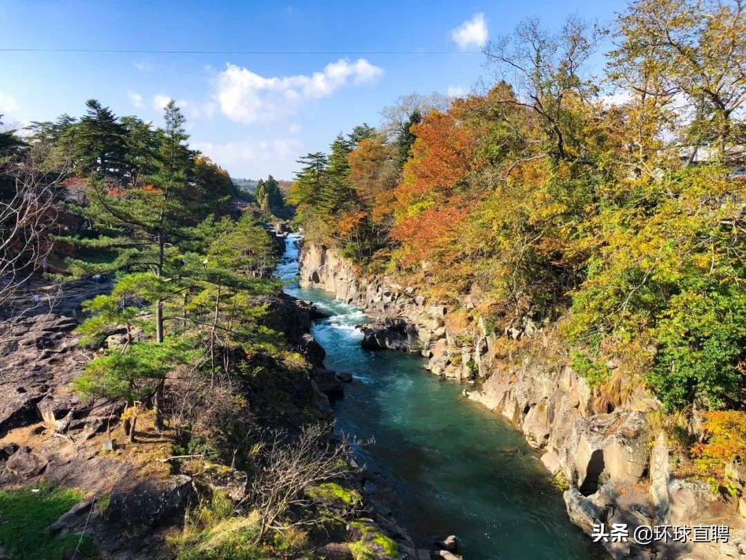 疫情中唯一没有失守的岩手县，你真的没有好好认识过它！