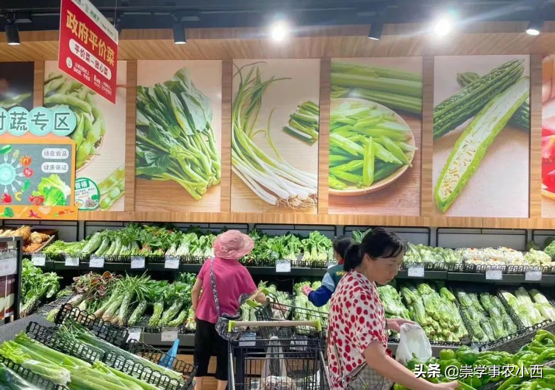 海南季节性蔬菜,海南一年四季蔬菜有哪些