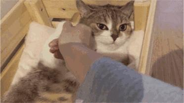 女生应该如何防狼,女孩子怎么预防色狼