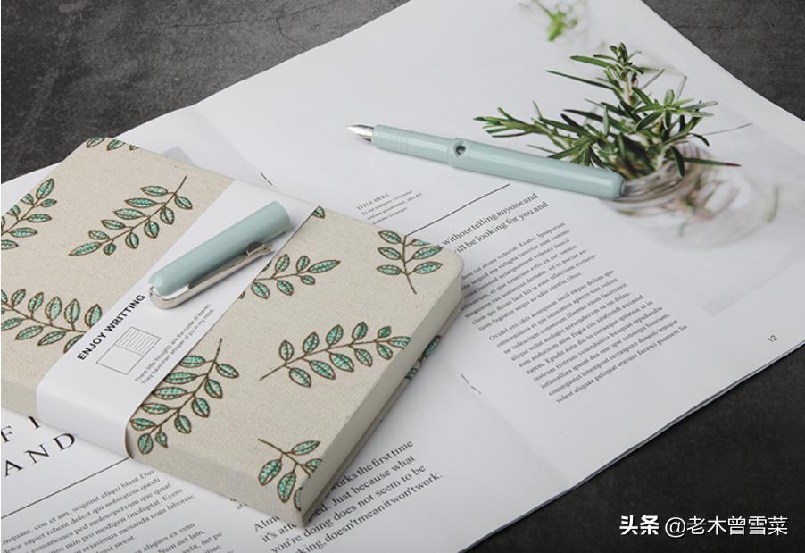 钢笔字入门基础知识大全,日系钢笔入门基础知识