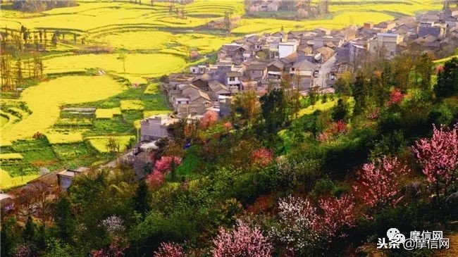 刘智远：摩托江湖的行者