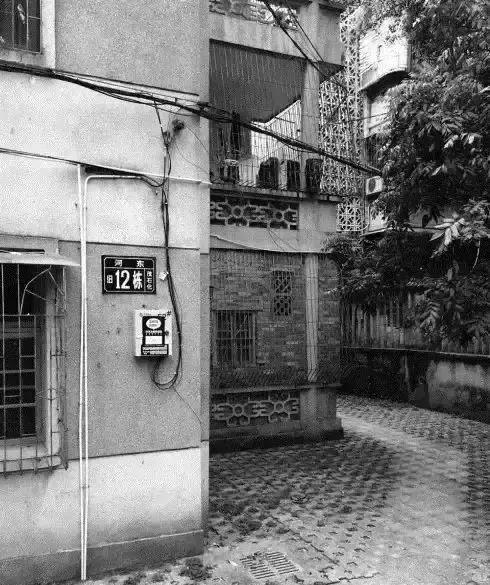 芳华60载|碧桂园与茂名共成长