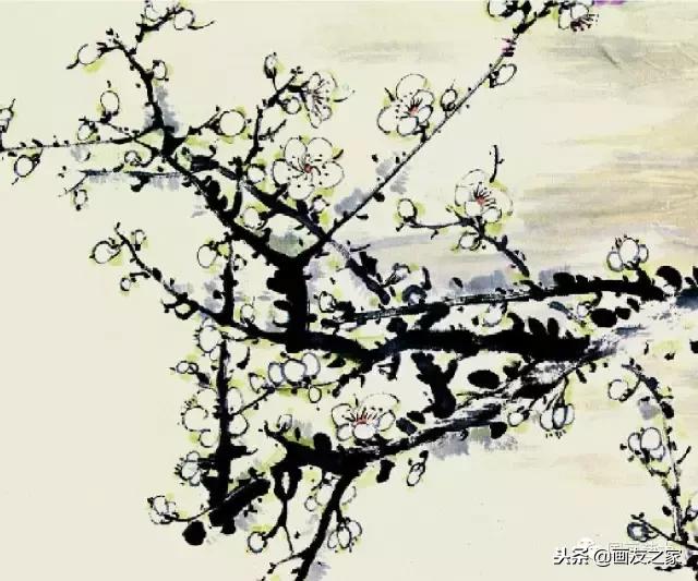 董寿平国画梅花老树干的画法,国画梅花花瓣的画法视频教程