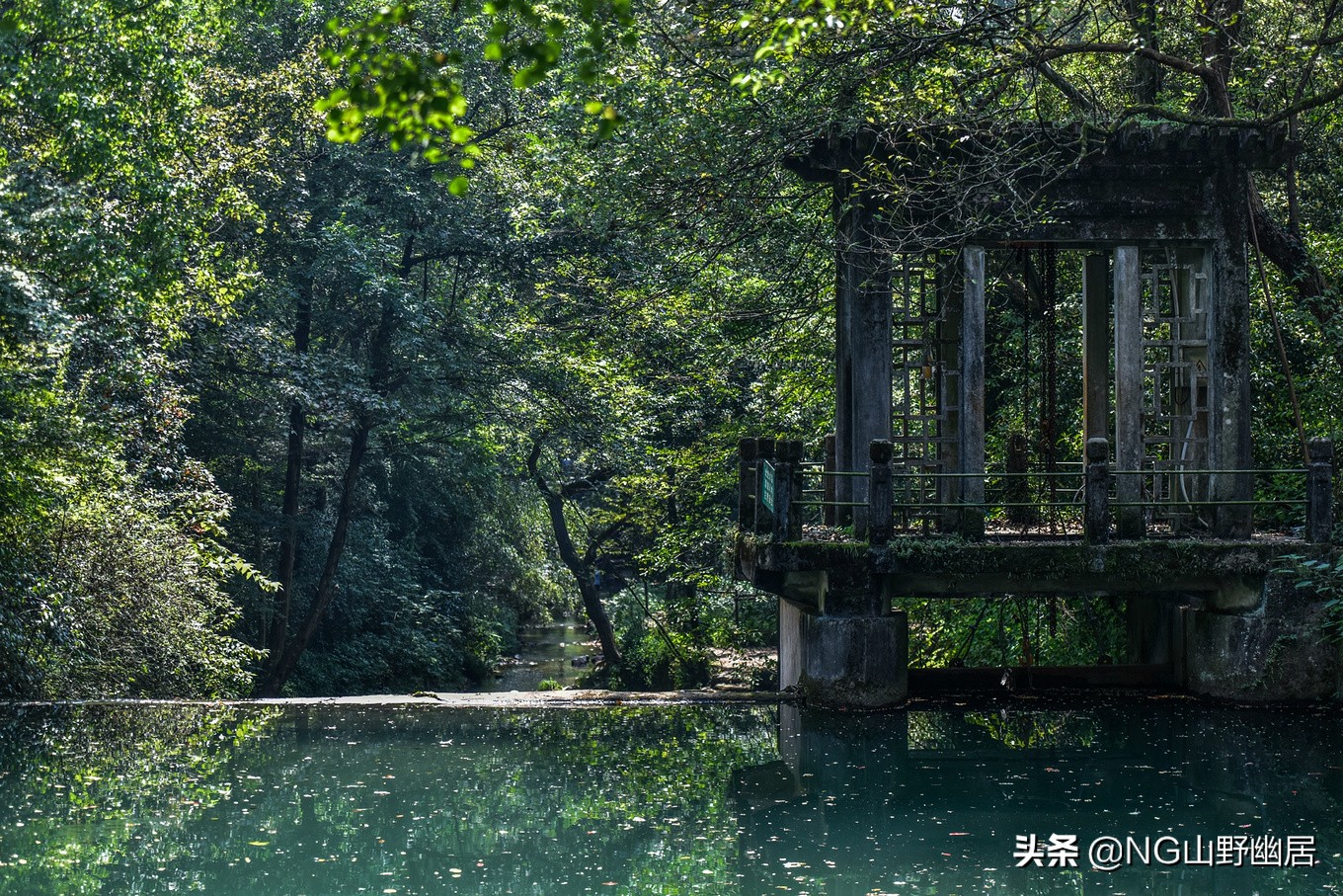 杭州九溪秋色最佳时间,杭州西湖九溪秋天几月份好看