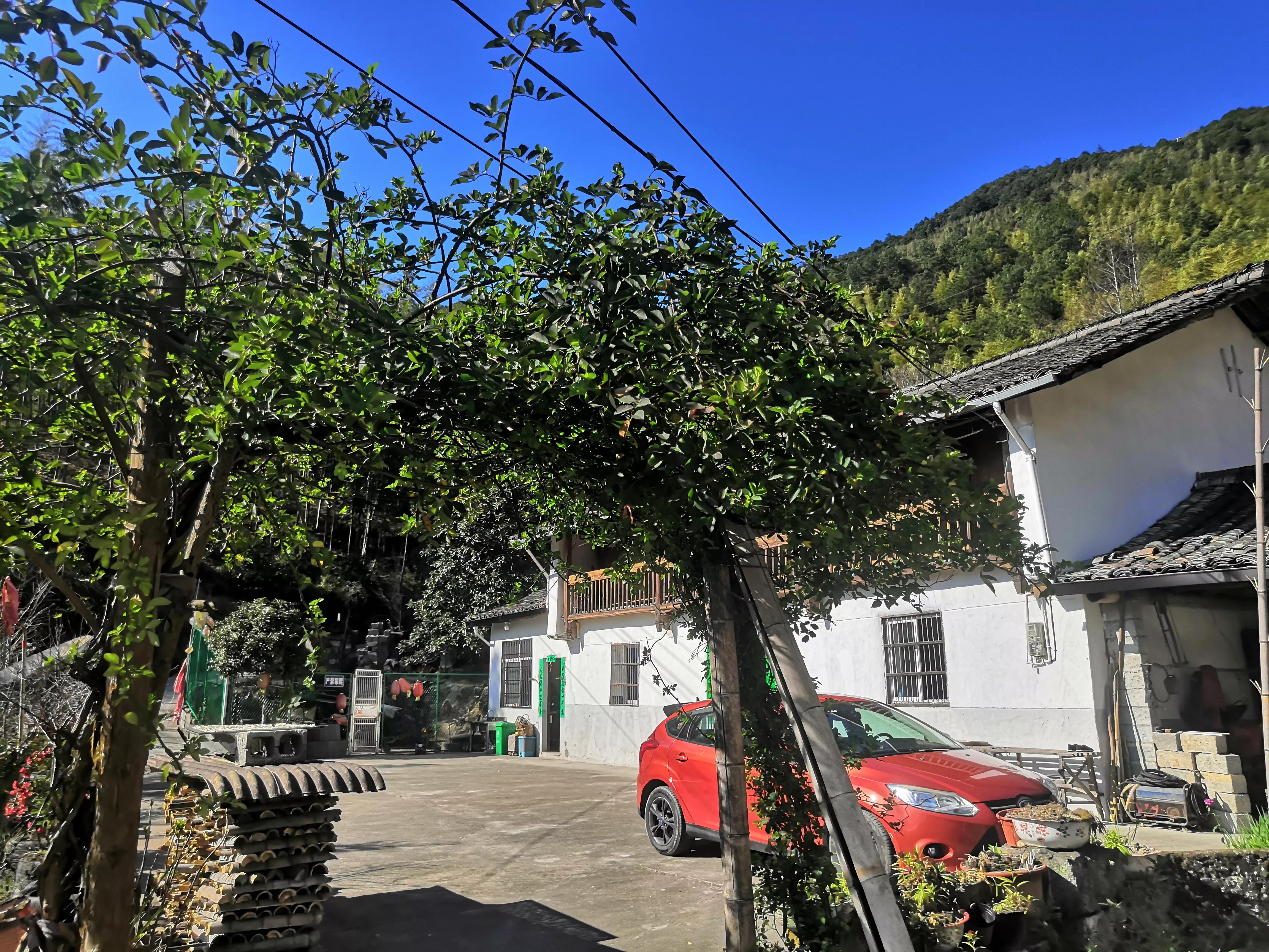 多样化的浙江，浙西南一个安静的小城，龙泉市