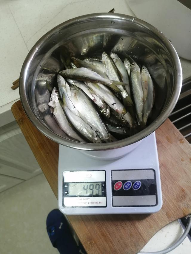 冬季野钓小白条太多,冬天大风大浪野钓白条技巧