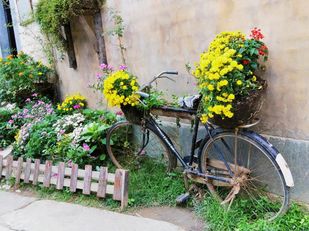 这才是中国最美的乡村,最值得去的鲜花小镇