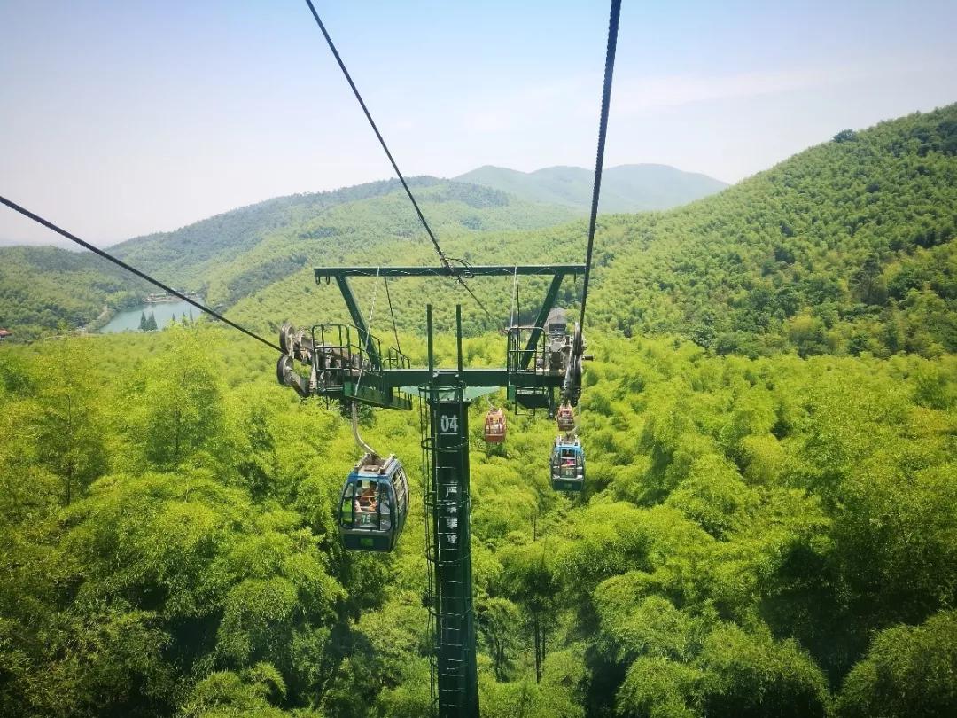 距离杭州45min的县城，竟藏着个“小新西兰”，趁人少快去