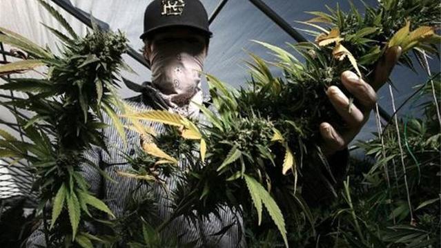 墨西哥：一个被毒枭控制的国家