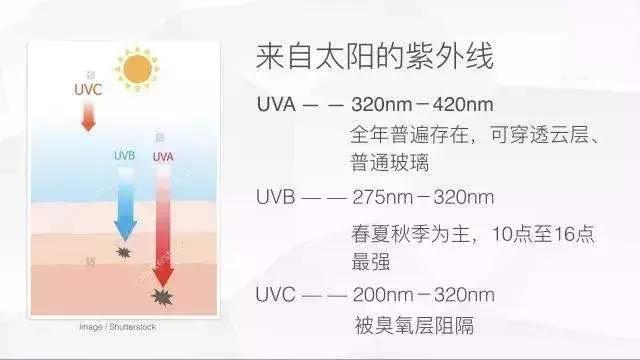 夏天不想晒黑这份防晒攻略请收好,防晒的小tips