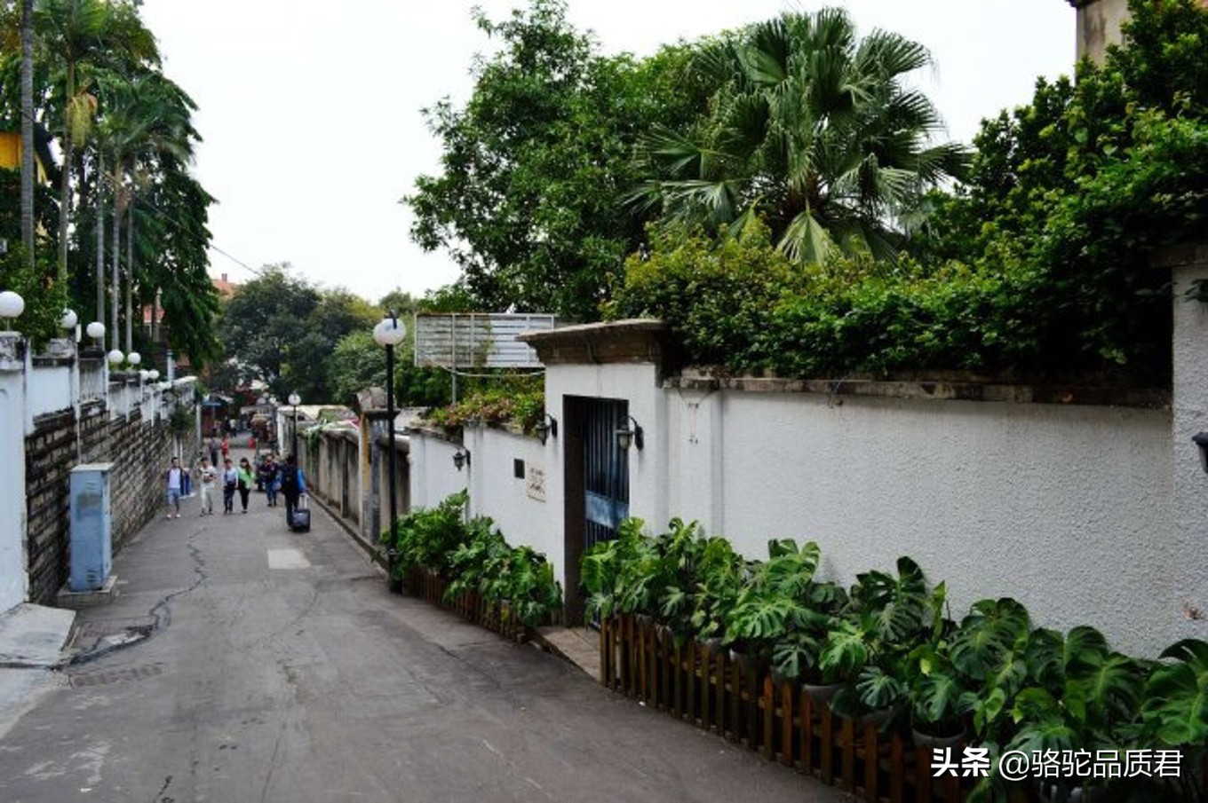 厦门海边之旅,厦门小众旅游体验