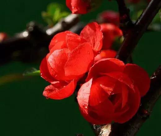 宋扬小说欣赏——生活用力过猛