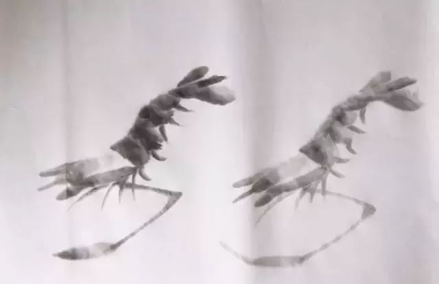 伍建丰画虾步骤图,画虾蟹的步骤图解