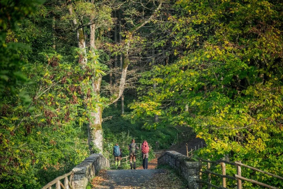 如何成为驴友的基本条件,驴友入门路线
