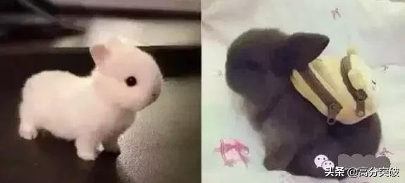 新生军训必备神技,新生军训小贴士