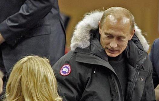 加拿大鹅烂大街,加拿大鹅排队