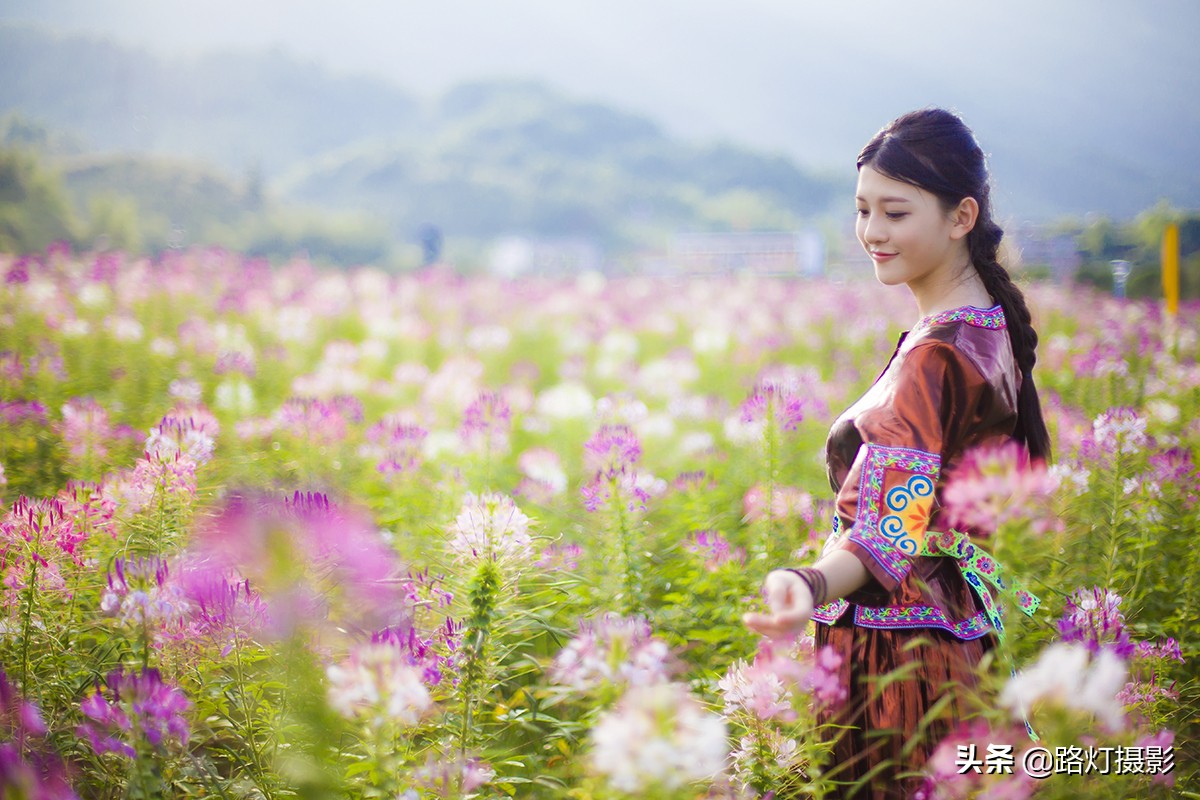 广西最美古镇黄姚古镇,贺州黄姚古镇花海