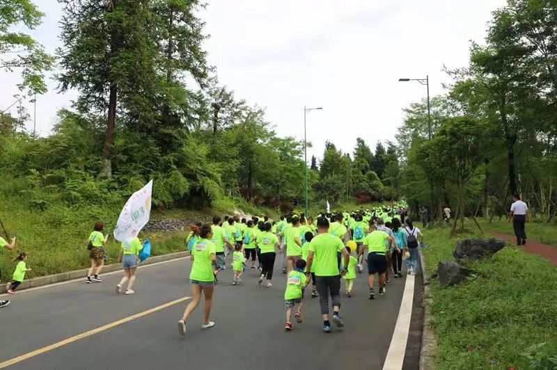 七里坪亲子跑,一场亲子健康跑触动了心灵深处