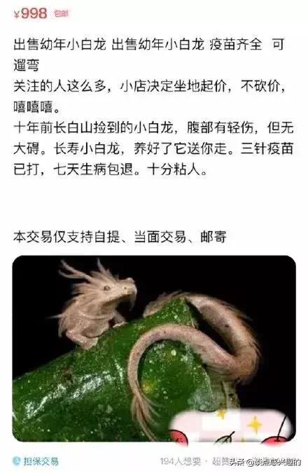 闲鱼上的神兽多少钱一只,闲鱼上的神兽卖家