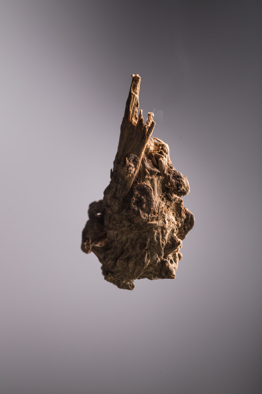 泡水喝中药的注意事项,中药泡水喝有什么禁忌