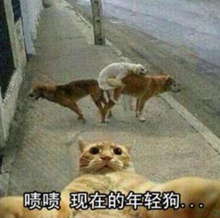 成都防坑指南,凤凰古城防坑指南