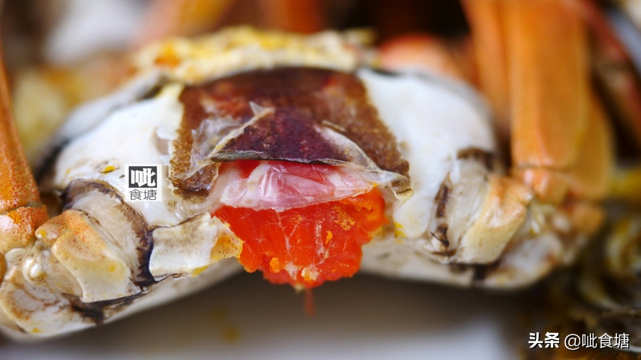 秋风起蟹脚黄指的是大闸蟹吗,秋风起蟹脚肥浦东大闸蟹陆续上市