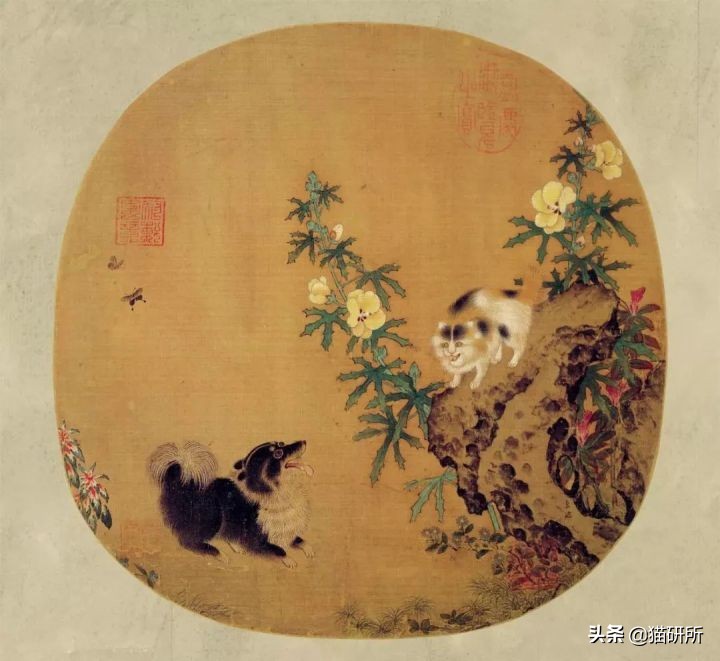 古代人如何称呼不同毛色的猫咪？
