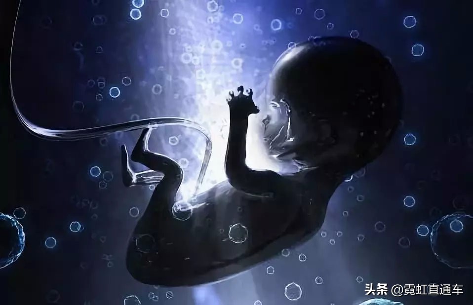 全球首例试管婴儿在哪国,日本试管婴儿有多少人