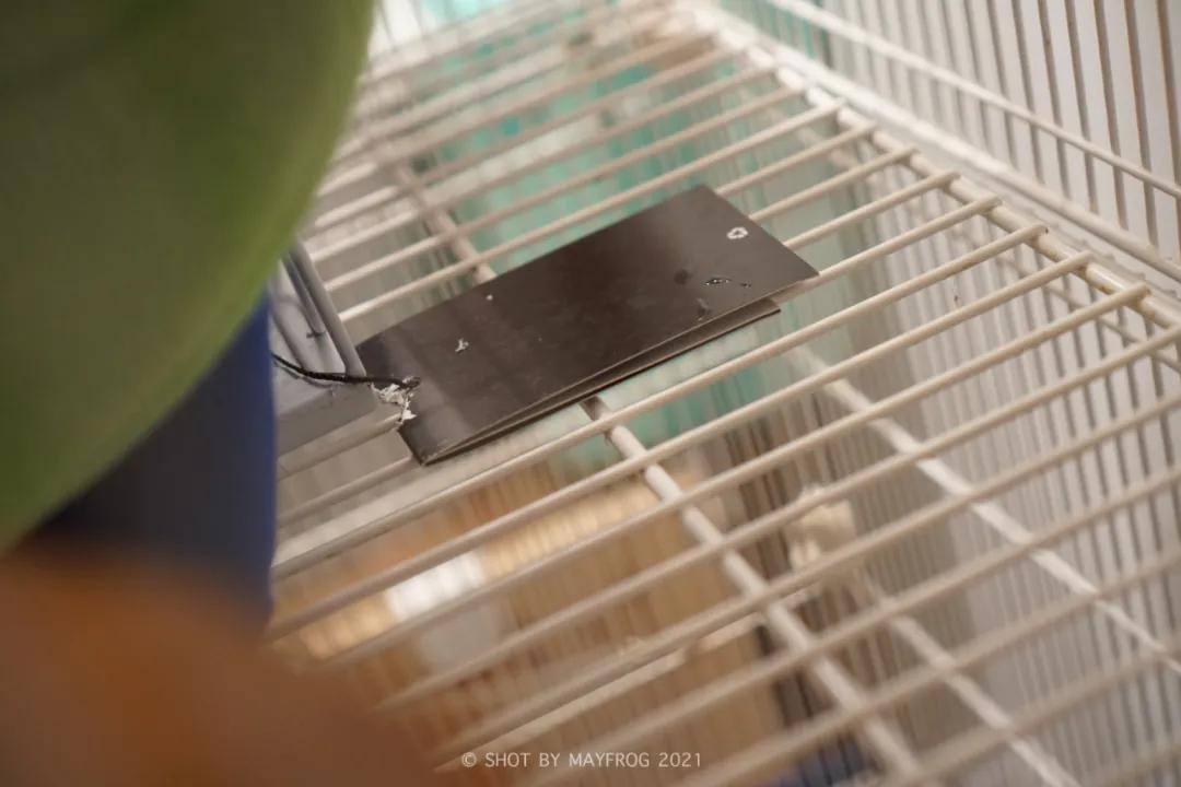 「清明特辑」零首付！月供2块2！江苏队的头七日我尽了绵薄之力