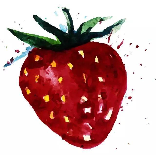 正品斯帝罗兰沙发价格,意迪森和斯帝罗兰的沙发哪家好