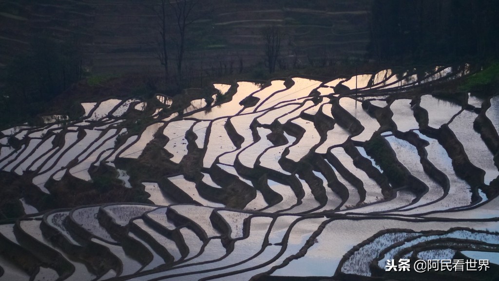 云南普者黑元阳坝美6天旅游攻略,云南建水普者黑旅游路线