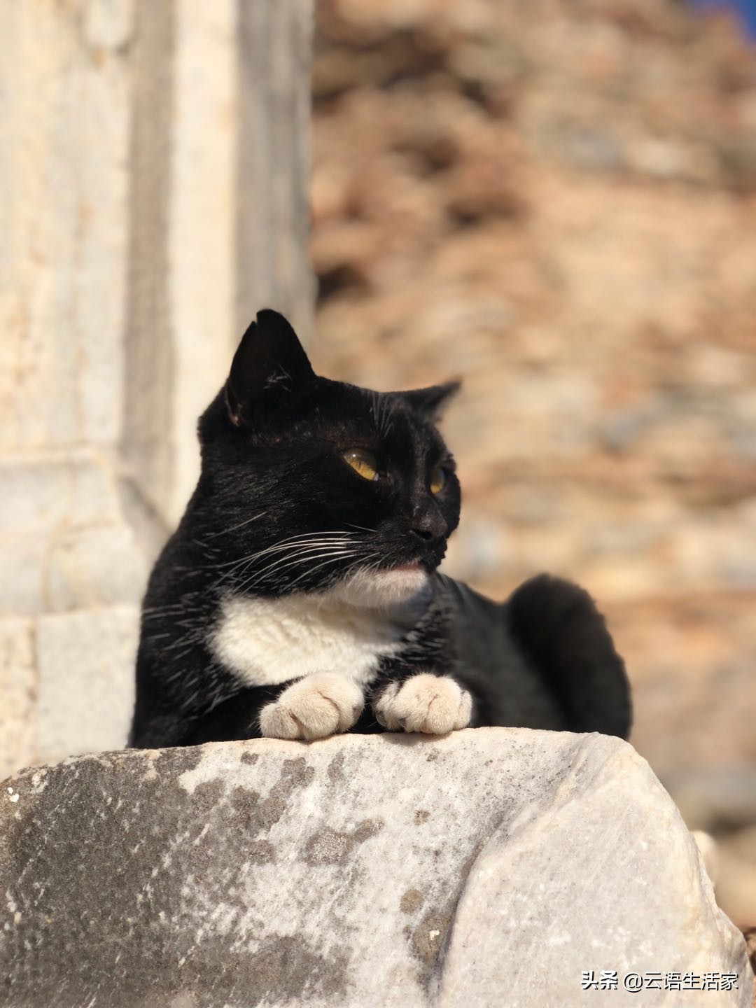 远走土耳其,我在星月之国上天入海(三)