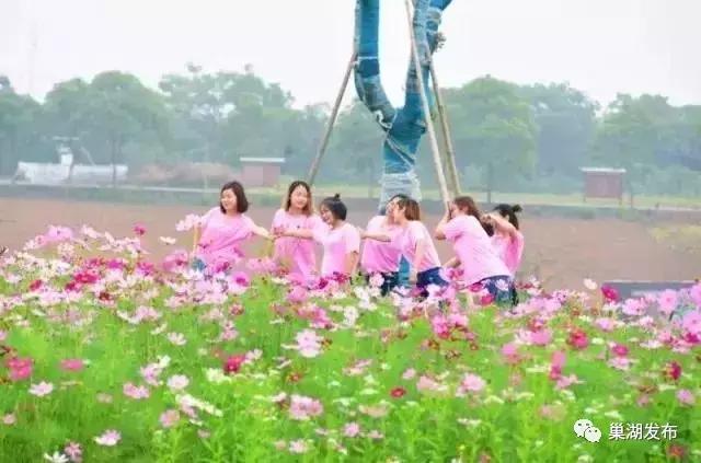 巢湖市半汤,半汤怎么做