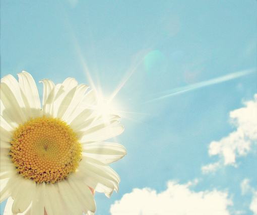 浜洪棿鑷虫殩鏄翰鎯呯殑浣滄枃,浜叉儏鍙嬫儏閭婚噷涔嬫儏