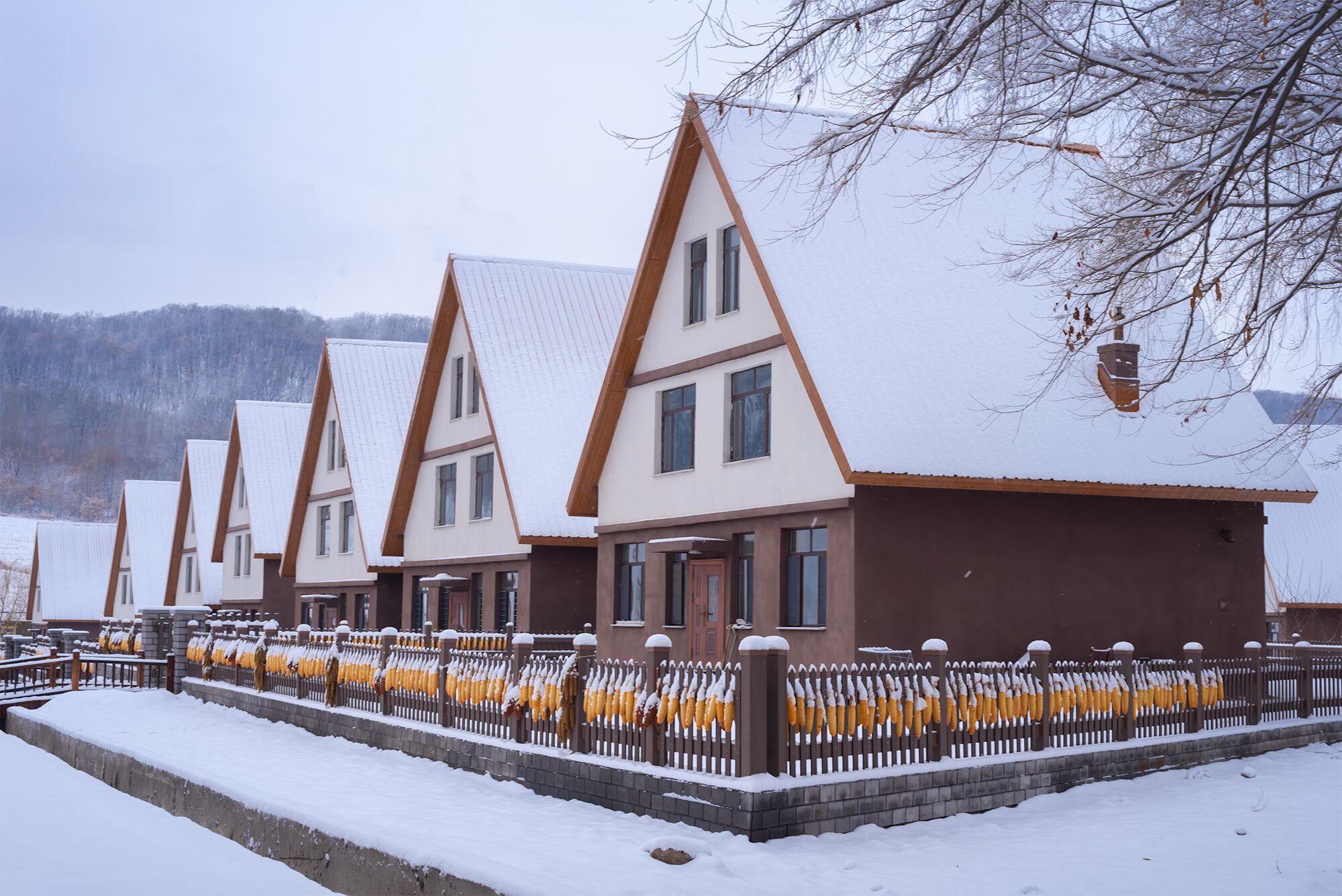 罗通山下的美丽乡村——泉眼村