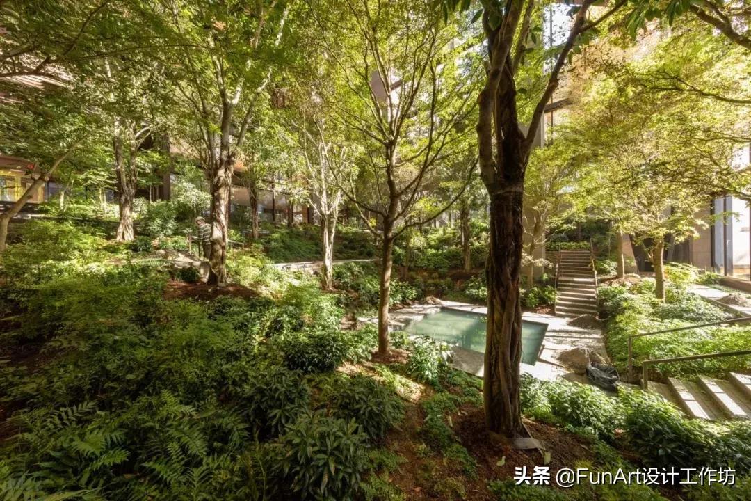 查尔斯·伯恩鲍姆谈景观设计对建筑环境的影响