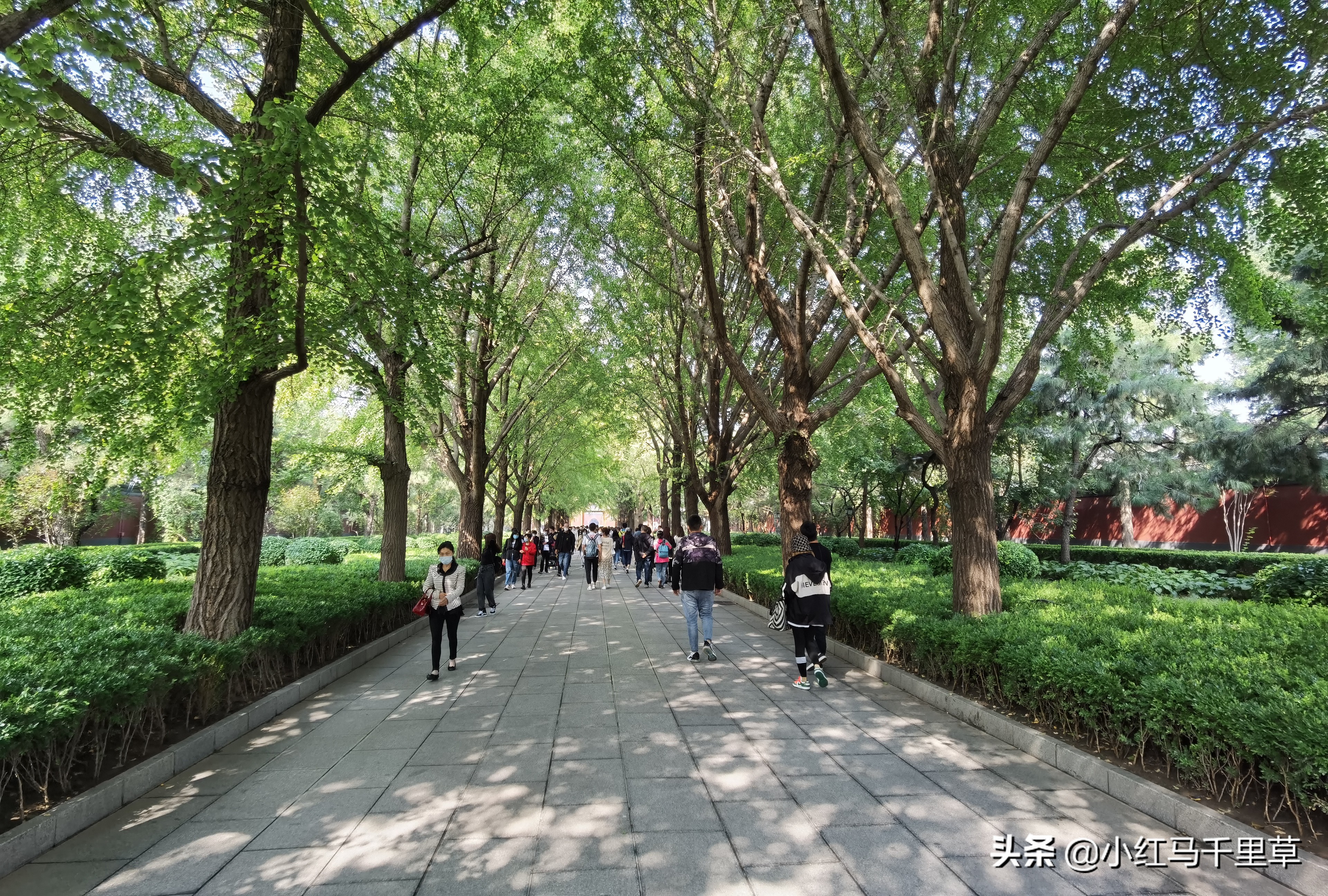 雍和宫游览记,北京行记