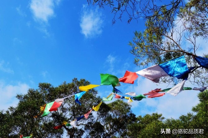 厦门海边之旅,厦门小众旅游体验