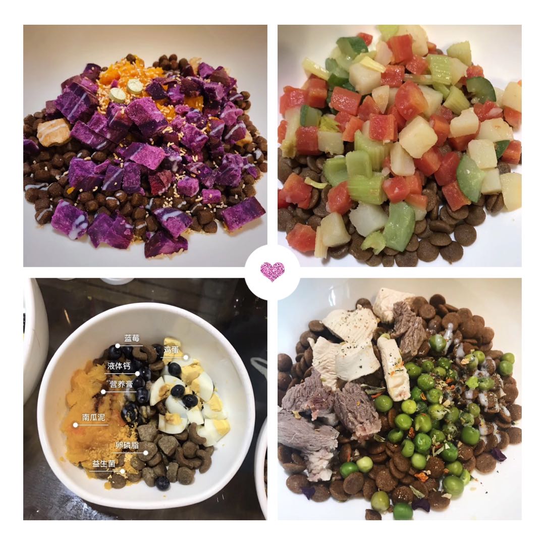 英牛的孕产记实——一场生死线上的考验