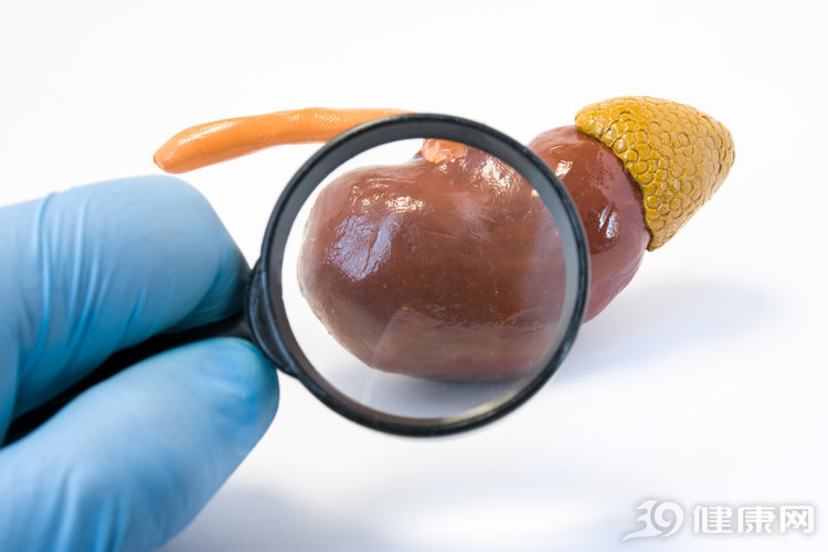 得了肾衰竭还可以做哪些工作,得了肾衰竭以后用什么药治疗