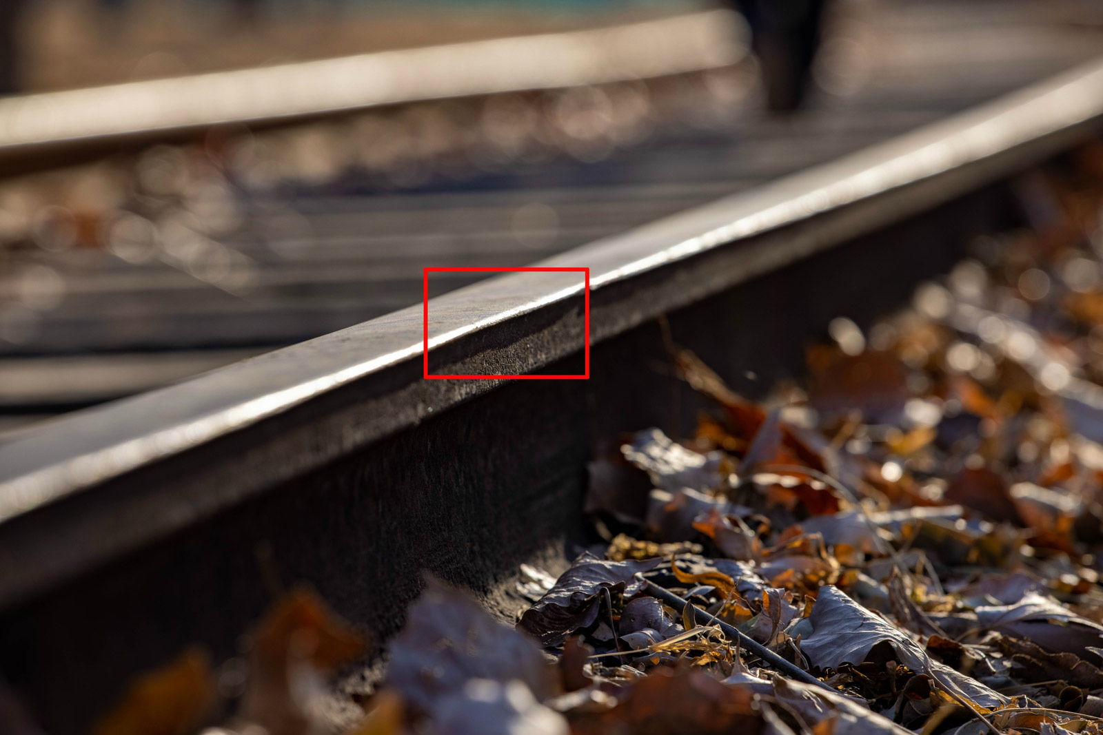 史上最轻便长焦利器佳能RF70-200mmF4L镜头评测