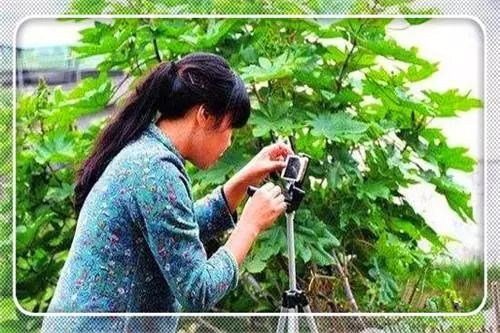 农村致富门路什么项目好做,农村最新致富创业项目有哪些